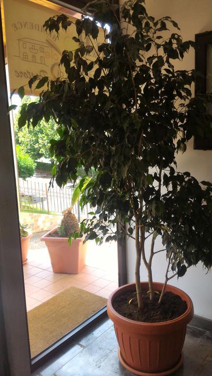 Bed and Breakfast Raggio Di Sole Rende Exterior foto